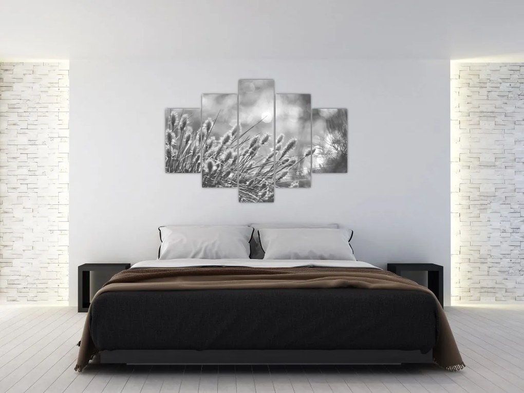 Obraz - Béžová soft grass N⁰1 (150x105 cm)