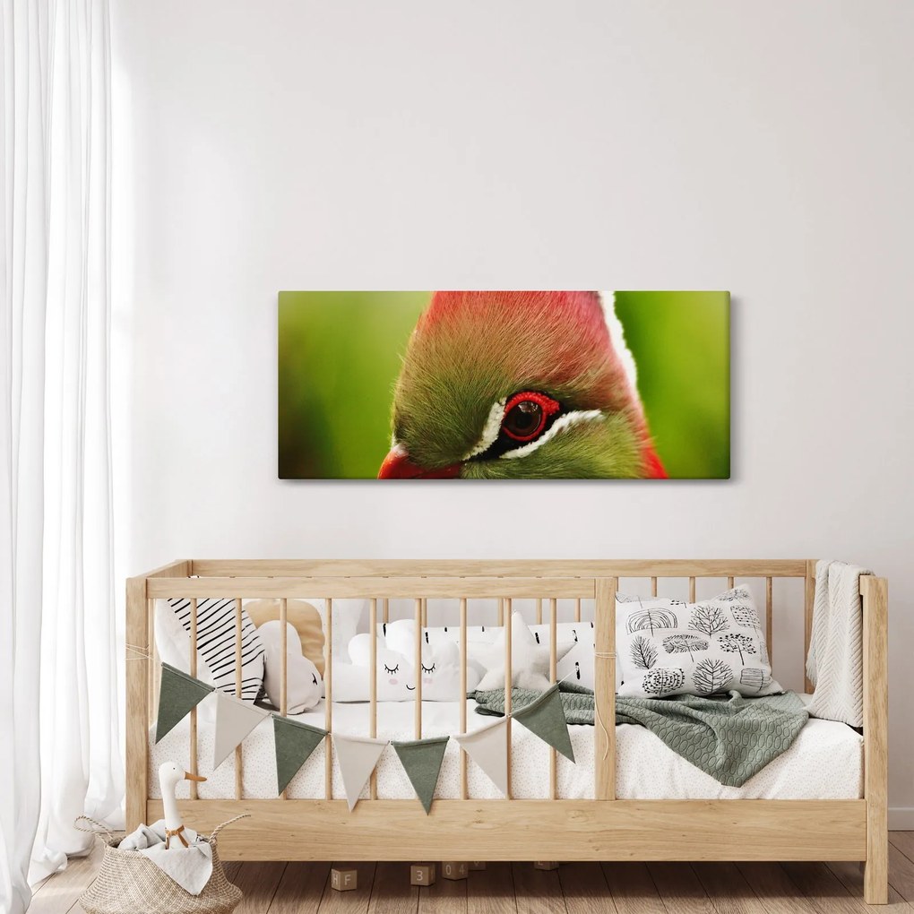 Obraz farebného vtáka (120x50 cm)