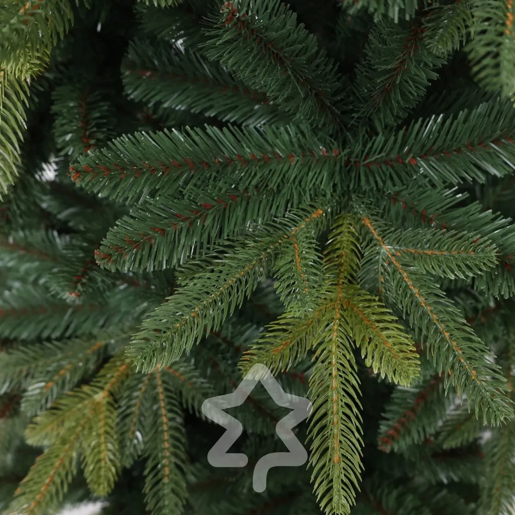 Jedľa Kangri 210 cm