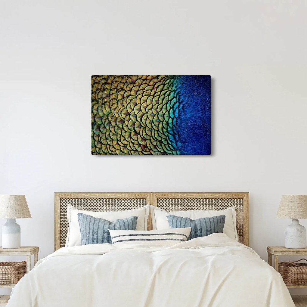 Obraz - Pávie perie (90x60 cm)