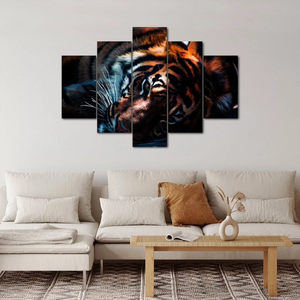 Obraz ležiaceho tigra (150x105 cm)