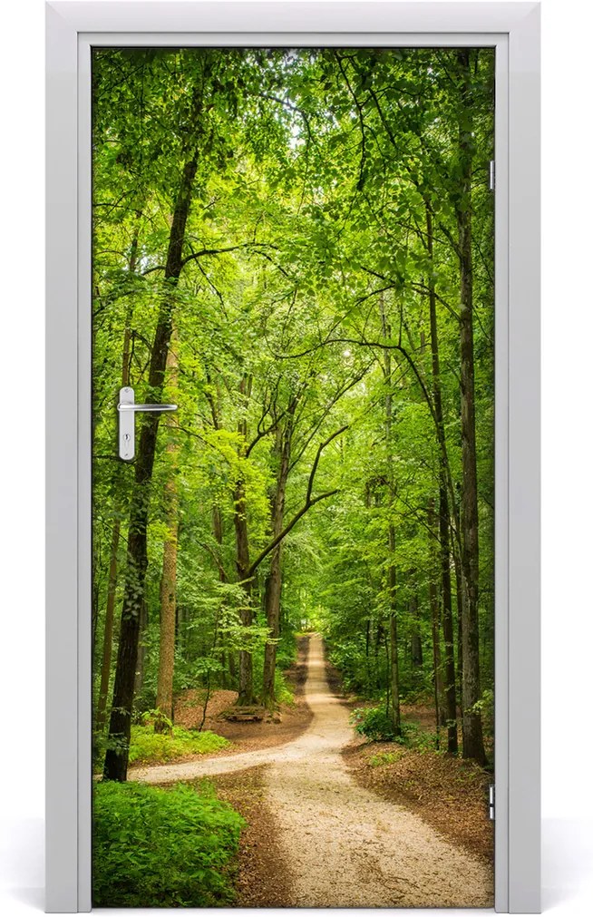 Fototapeta na dvere samolepiace  chodník v lese