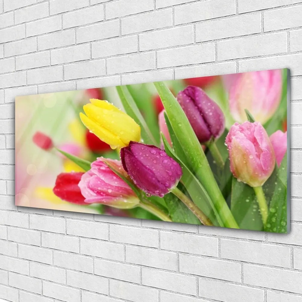 Obraz na akrylátovom skle Tulipány kvety rastlina 125x50 cm