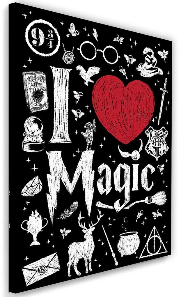 Gario Obraz na plátne Harry Potter, milujem mágiu - Dr.Monekers Rozmery: 40 x 60 cm