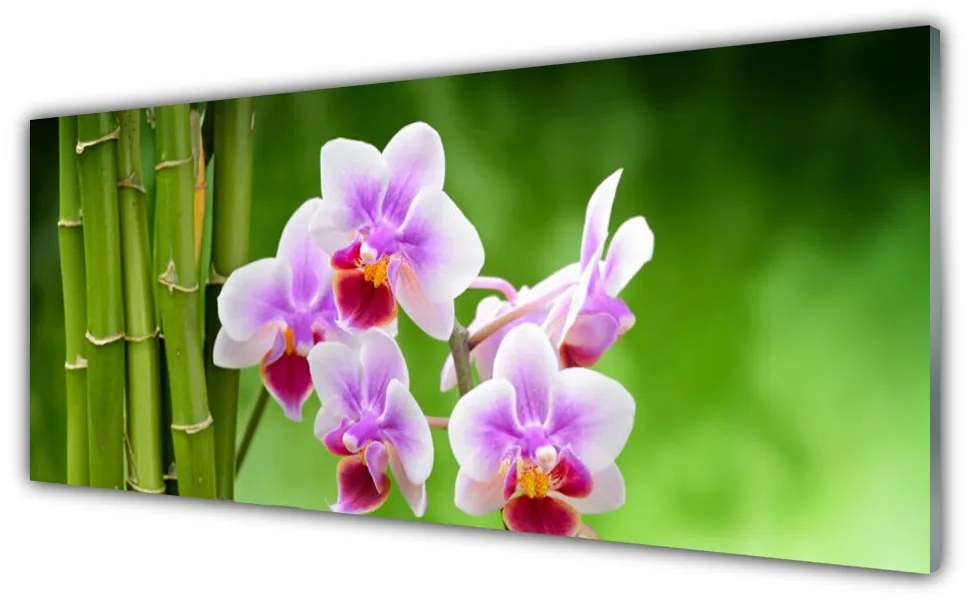 Obraz plexi Bambus orchidea kvety zen 125x50 cm