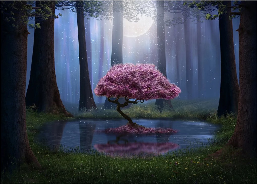 Sklenený obraz - Magická noc (70x50 cm)