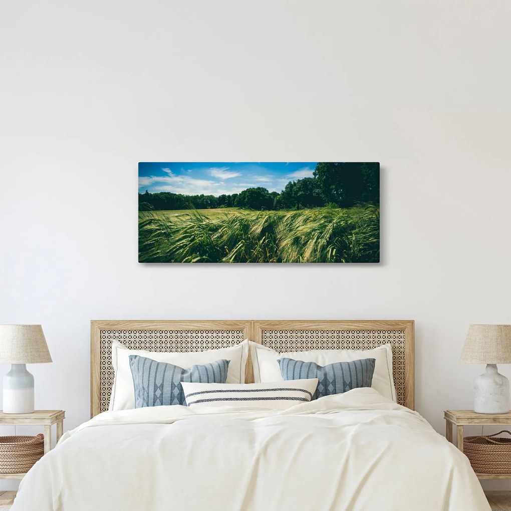 Obraz lúky a lesa (120x50 cm)