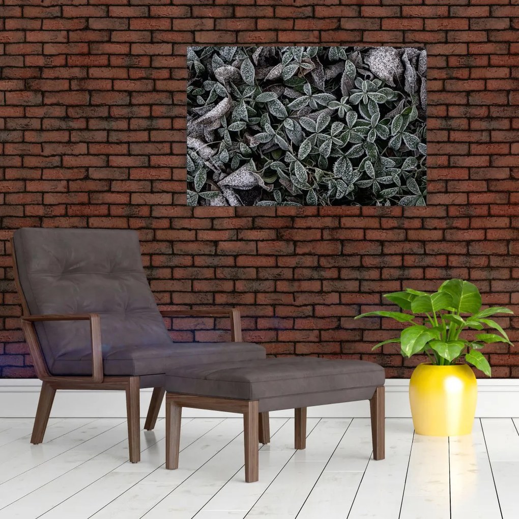 Obraz - Zamrznuté rastliny (90x60 cm)