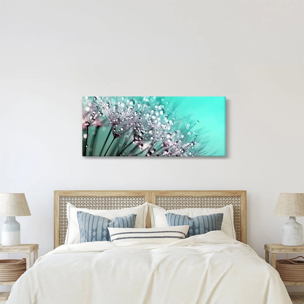 Obraz - orosená rastlina (120x50 cm)