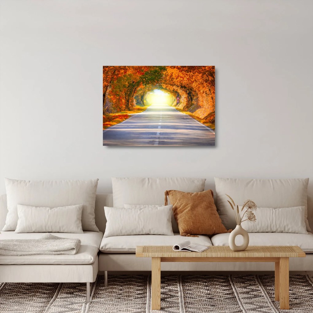 Sklenený obraz - Brána z korún stromov (70x50 cm)