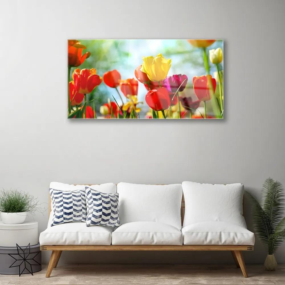 Obraz na skle Kvet 100x50 cm