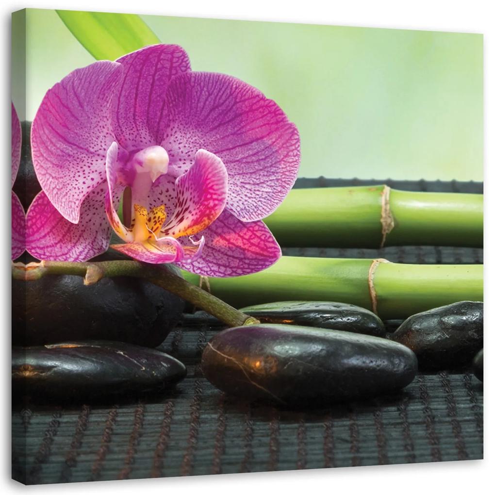 Gario Obraz na plátne Kvitnúce orchidey na čiernych kameňoch Rozmery: 30 x 30 cm