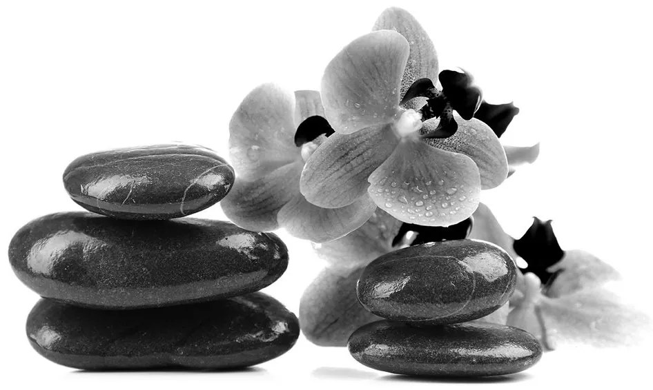 Samolepiaca fototapeta čiernobiele kamene a orchidea - 150x100