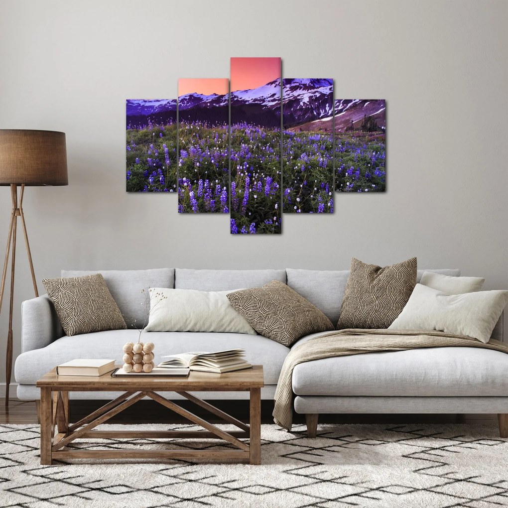 Obraz - Sopka a kvety (150x105 cm)