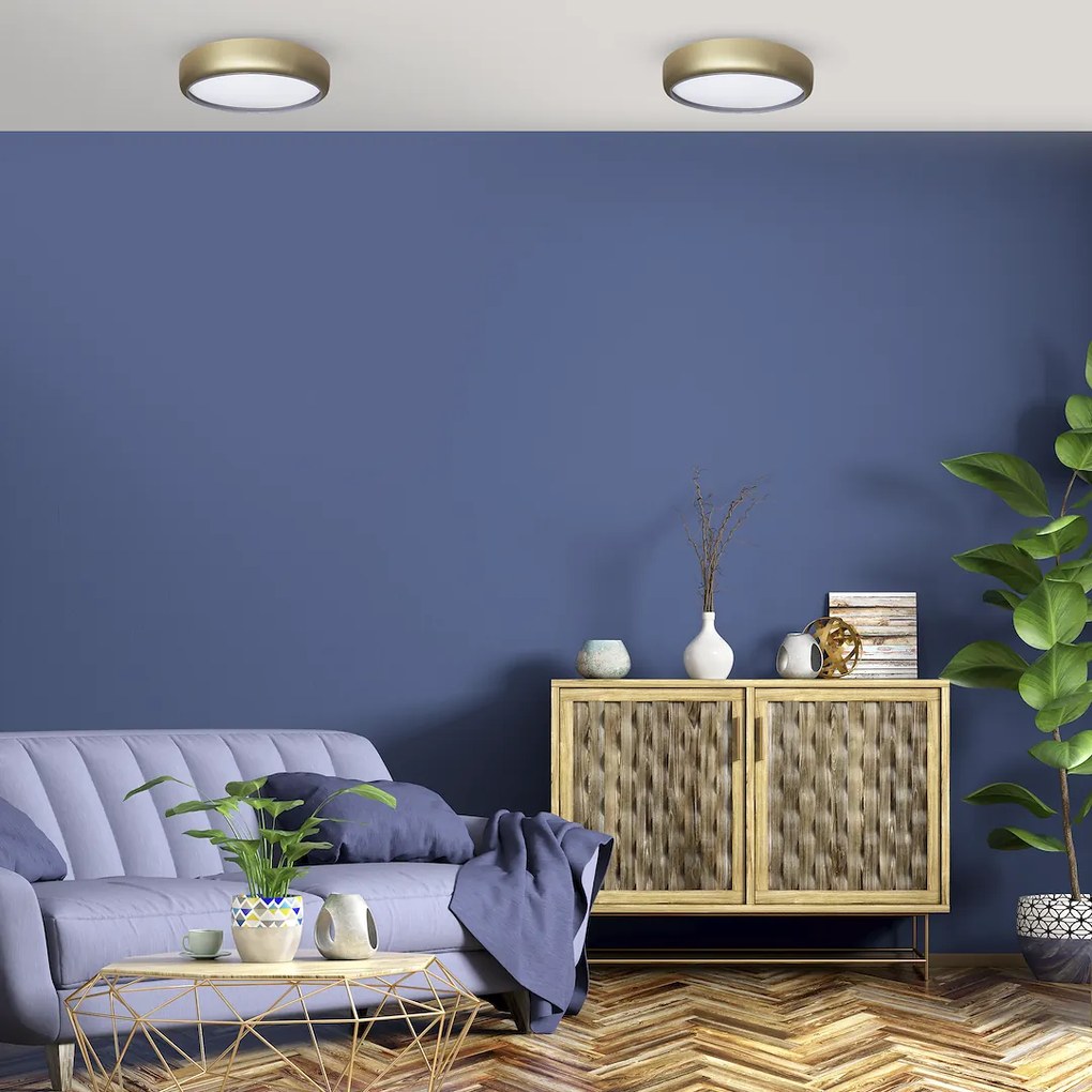 Stropné LED svietidlo Gea, 1x LED 36w, 3000-6000k, g, s ovládačom