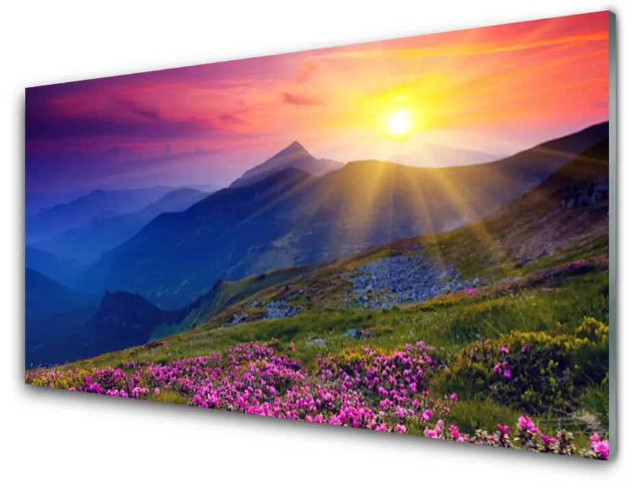 Obraz na skle Hory kvet lúka krajina 125x50 cm