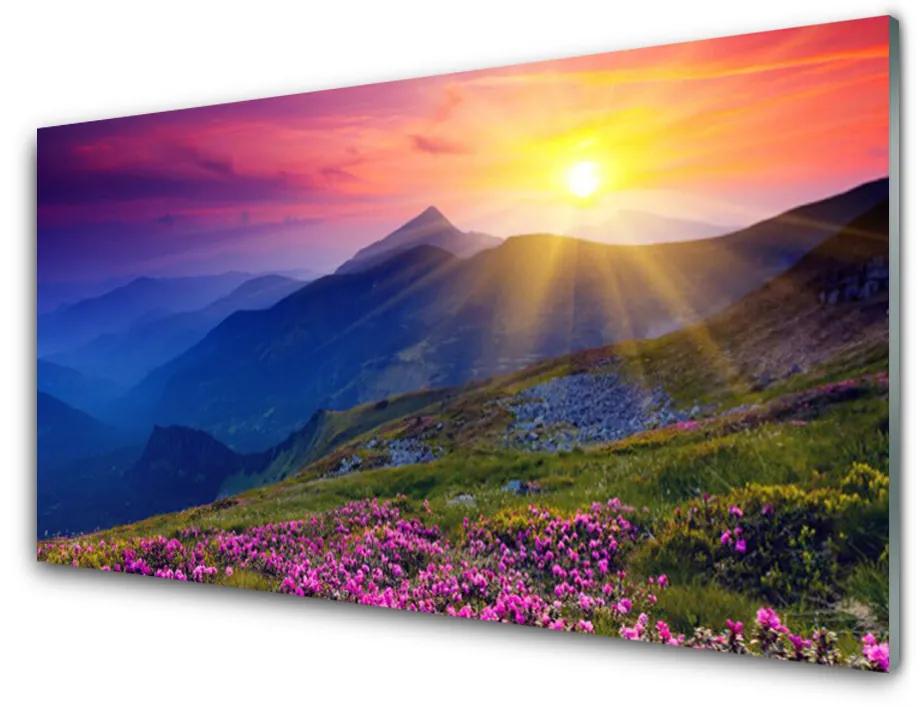 Obraz na skle Hory kvet lúka krajina 140x70 cm