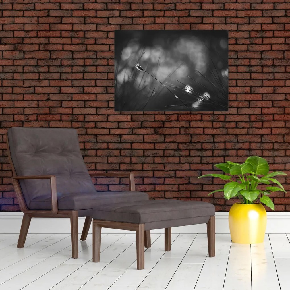 Sklenený obraz - Lúčna tráva (70x50 cm)