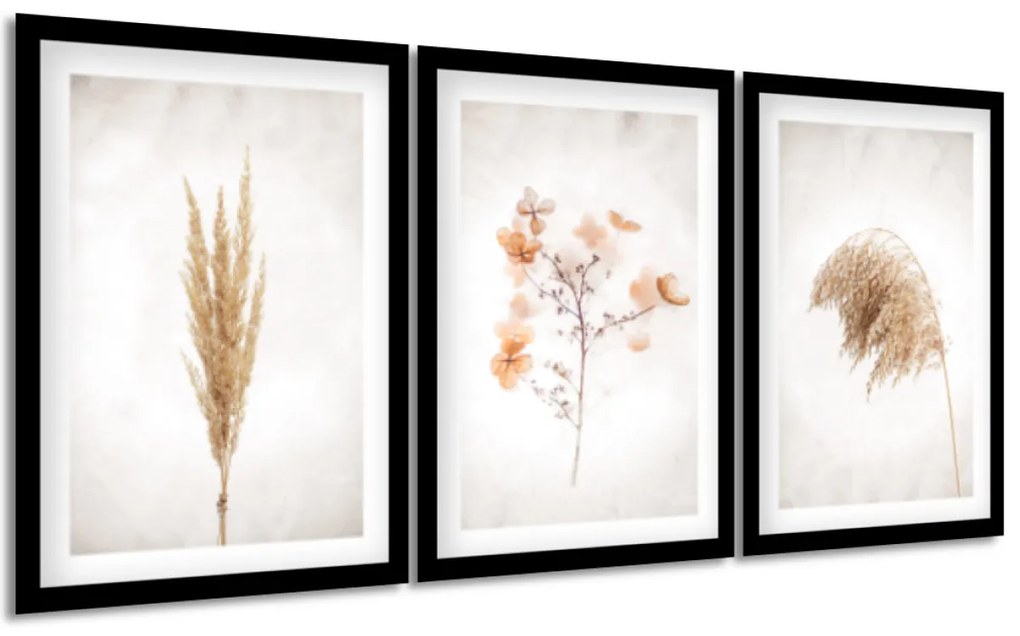 Gario Sada plagátov Dry nature Farba rámu: Biela, Veľkosť: 99 x 45 cm