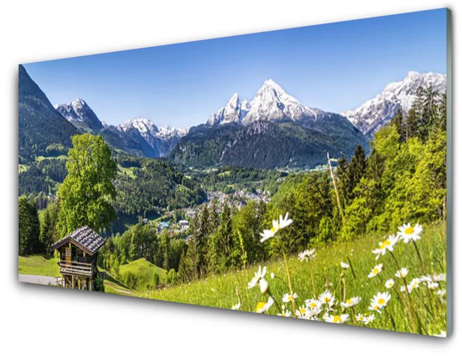 Obraz na skle Hora pole príroda 140x70cm