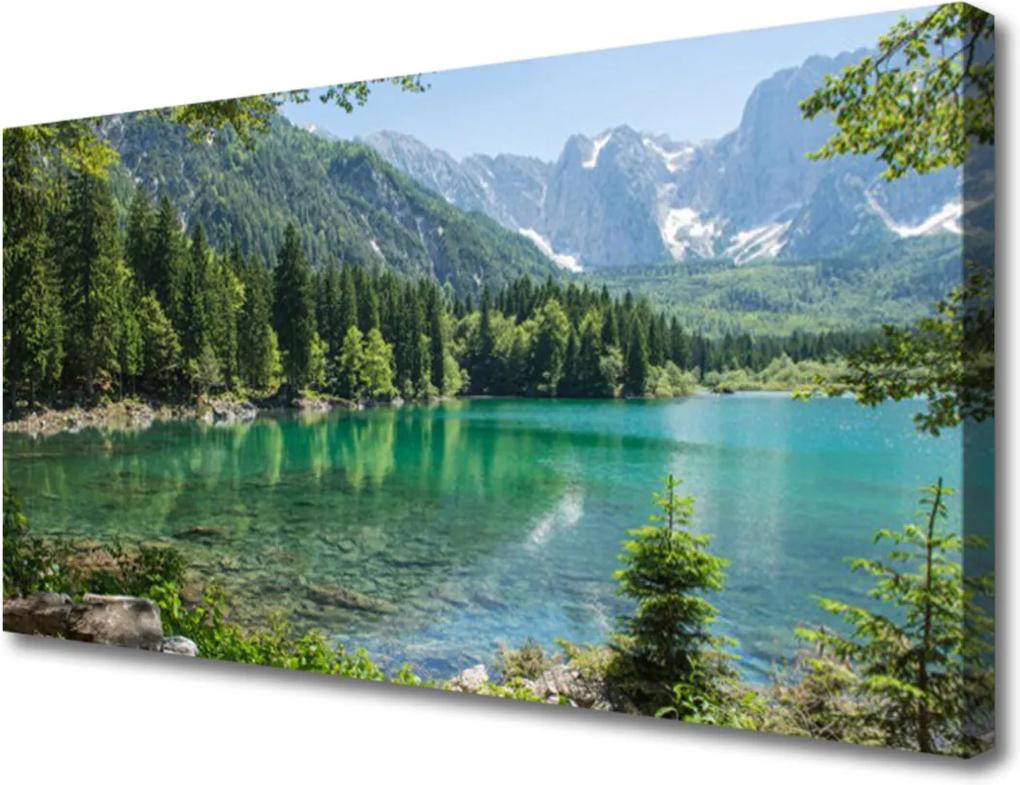 Obraz Canvas Hory jazero les príroda