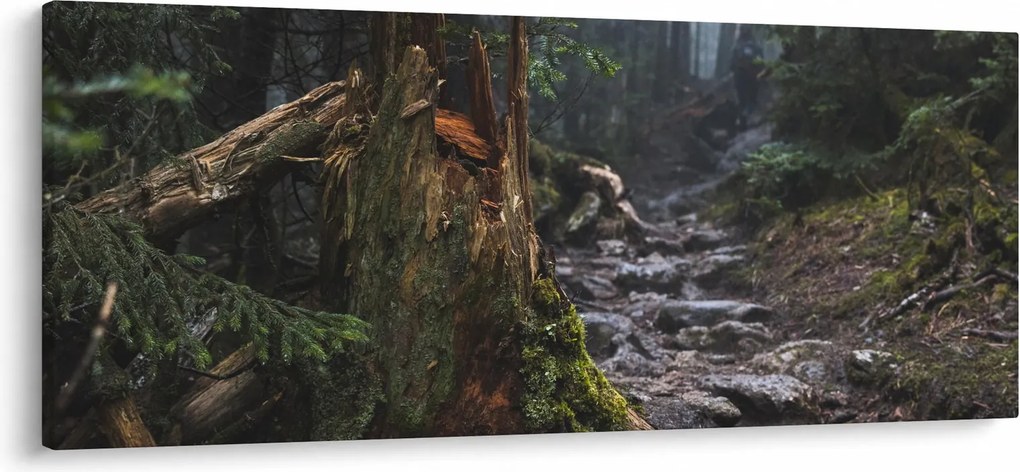 Obraz - V lese (120x50 cm)