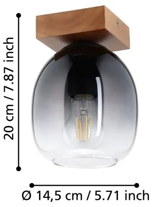 Eglo 900825 - Stropné svietidlo FILAGO 1xE27/40W/230V