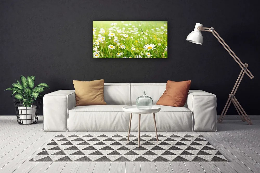 Obraz na plátne Lúka sedmokrásky príroda 140x70 cm