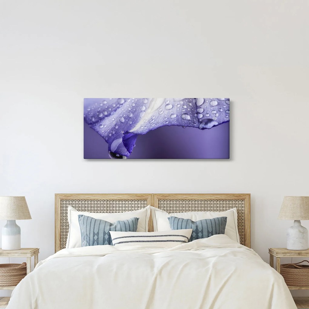 Obraz - Okvetný lístok s kvapkami (120x50 cm)