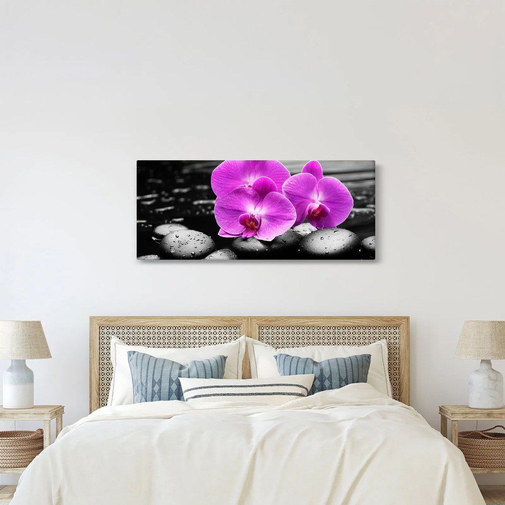 Obraz - Fialové orchidey (120x50 cm)