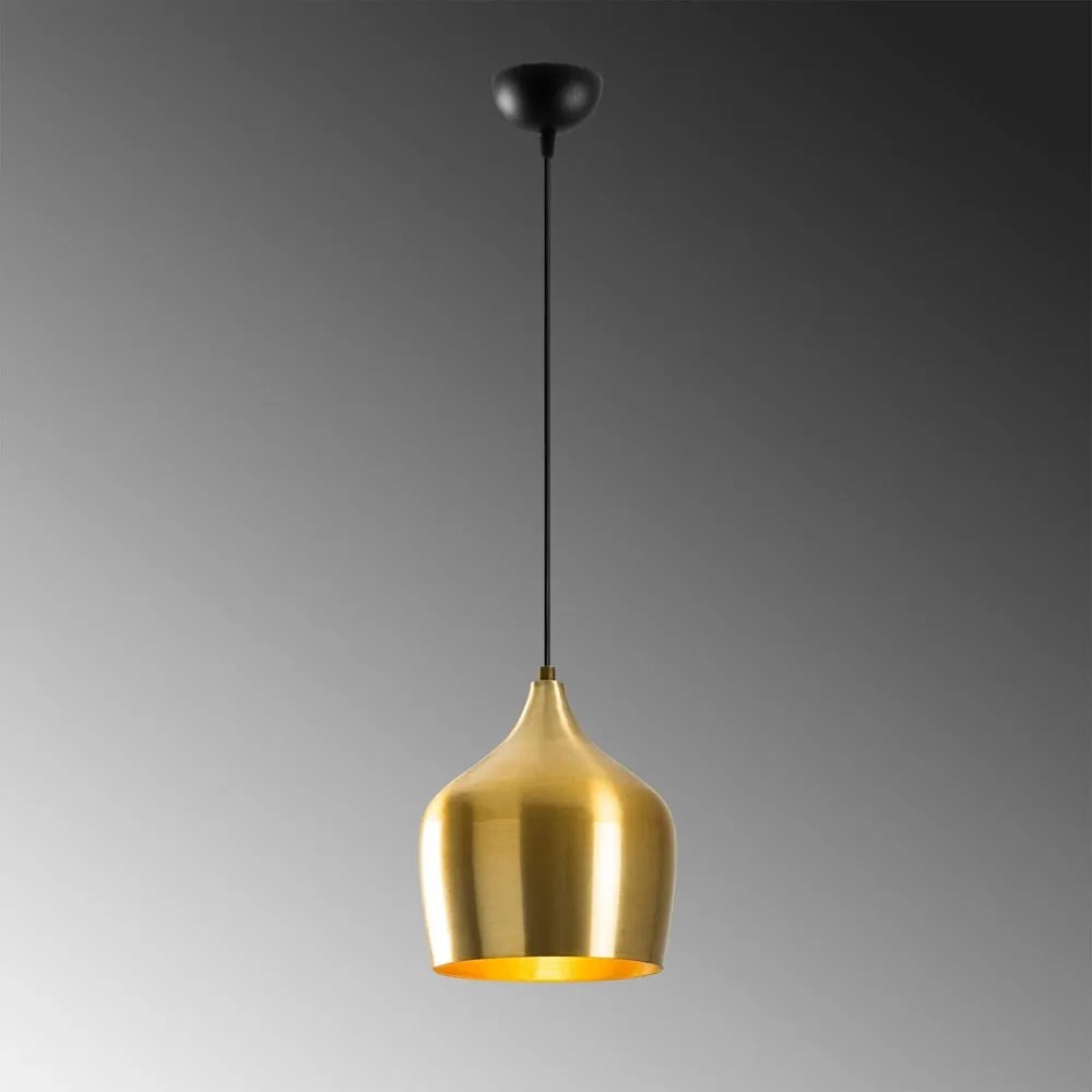 Závesné svietidlo v zlatej farbe s kovovým tienidlom ø 22 cm Dodo – Opviq lights