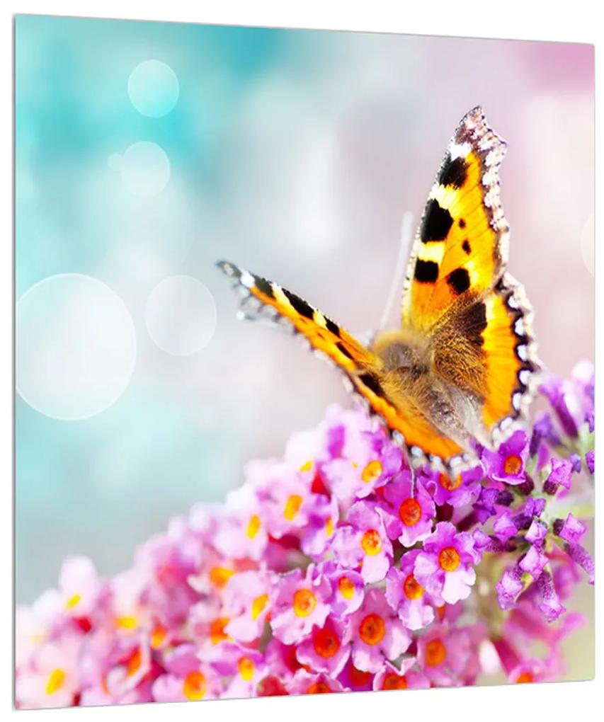 Obraz motýľa na kvetoch (30x30 cm)