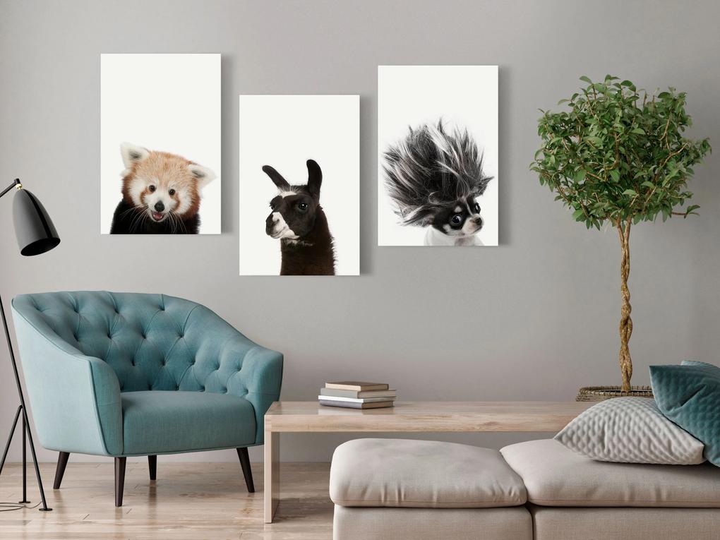 Artgeist Obraz - Friendly Animals (Collection) Veľkosť: 60x30, Verzia: Na talianskom plátne