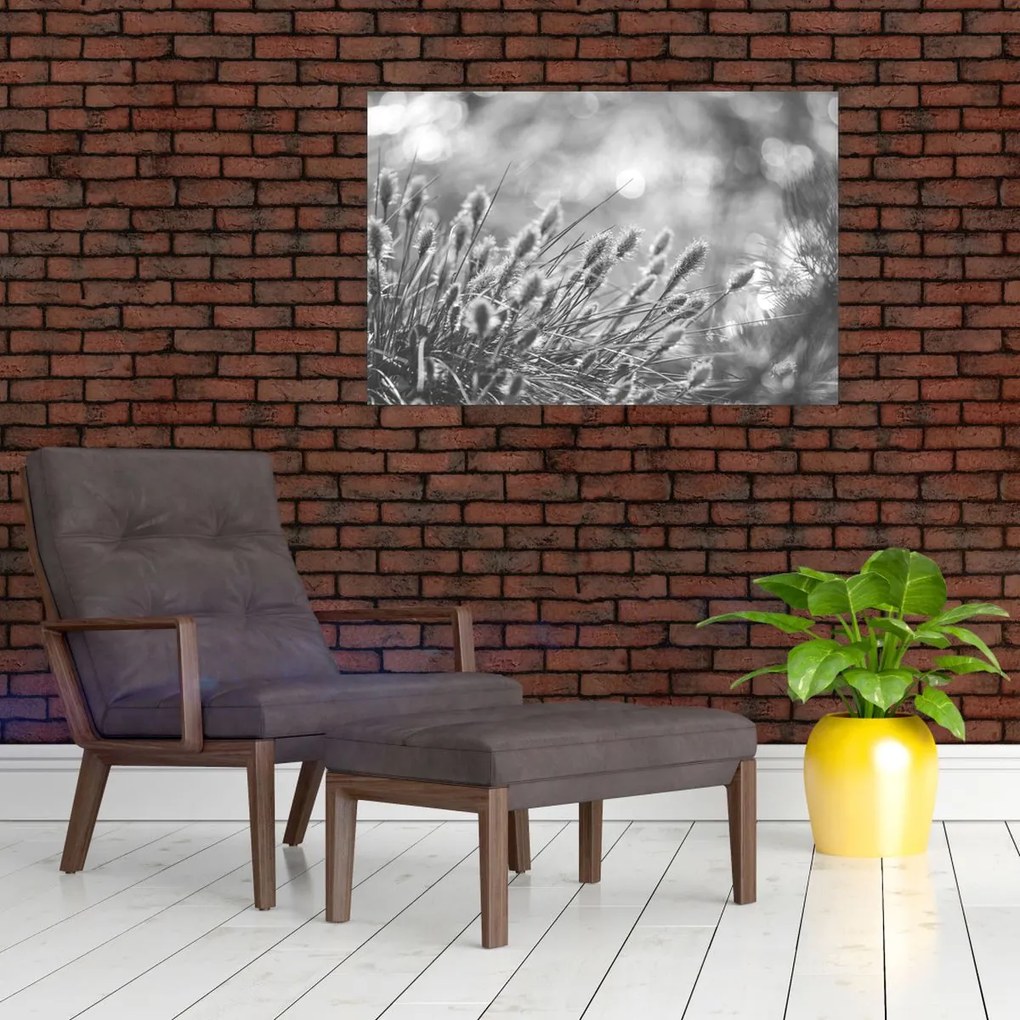 Obraz - Béžová soft grass N⁰1 (90x60 cm)