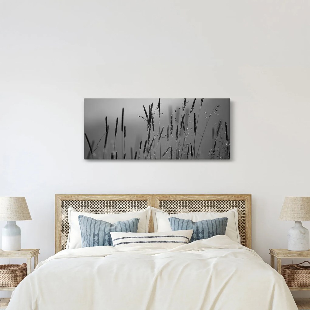 Obraz - Steblá trávy (120x50 cm)