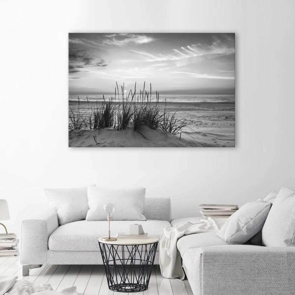 Obraz na plátně Travnatá pláž šedá - 100x70 cm