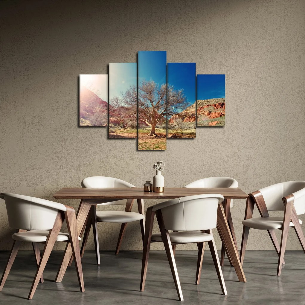Obraz stromu v púšti (150x105 cm)