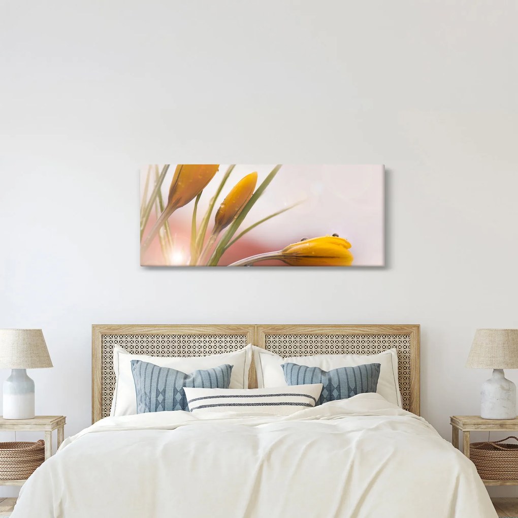 Obraz - Jarné kvety (120x50 cm)