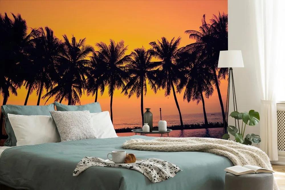 Samolepiaca tapeta západ slnka nad palmami - 225x150