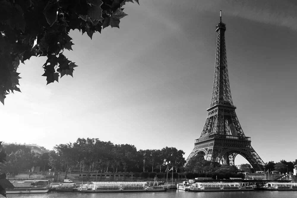 Obraz jesenný Paríž v čiernobielom prevedení