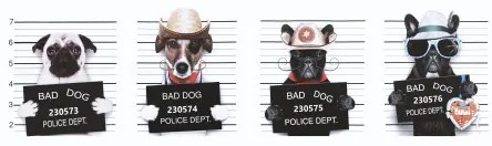 Obraz tlačený na plátne 50x150 PRC1144