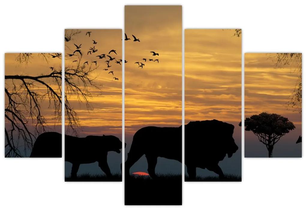 Obraz Safari (150x105 cm)