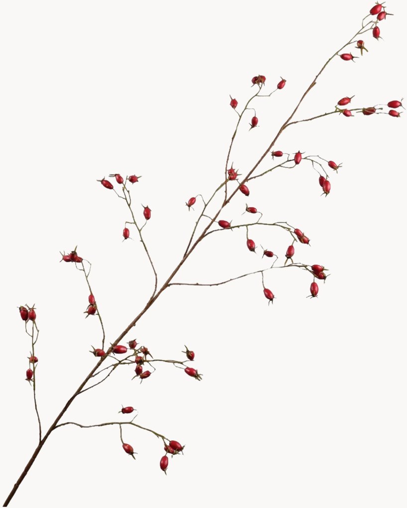 Ručne vyrobené rastlinné dekorácie Rosehip, 2 ks