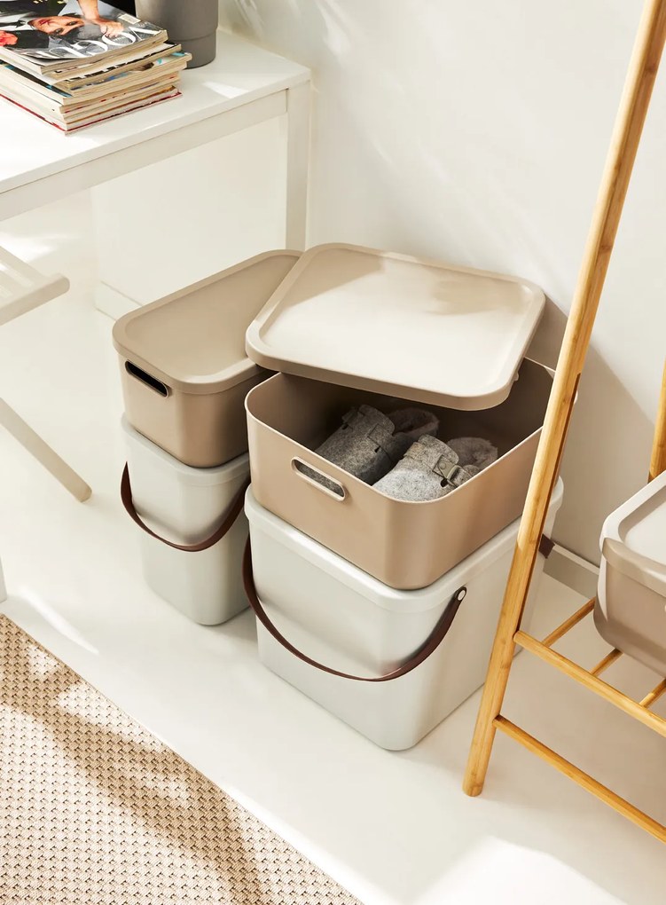 Rotho Úložný box, rovný s vekom, 12 l, cappuccino ALBU LIGHT, 40 x 24 x 18 cm