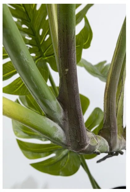 KARE DESIGN Dekoratívna rastlina Monstera 110 cm 110 × 50 × 40 cm