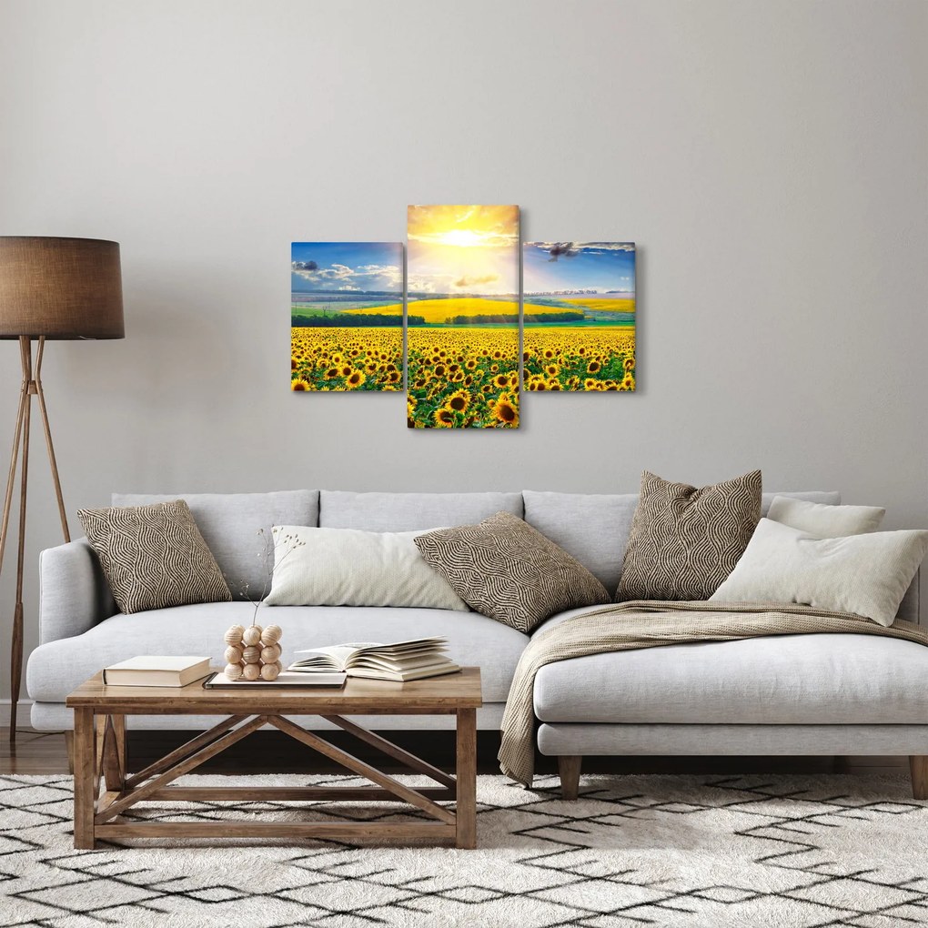 Obraz - Pole slnečníc (90x60 cm)