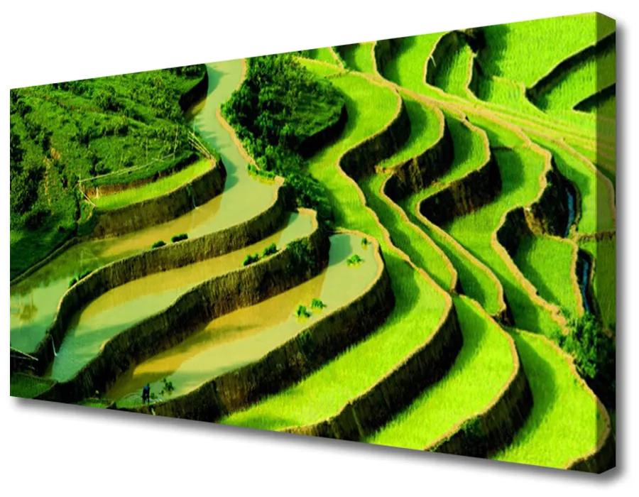 Obraz Canvas Pole ryža les umenie 100x50 cm