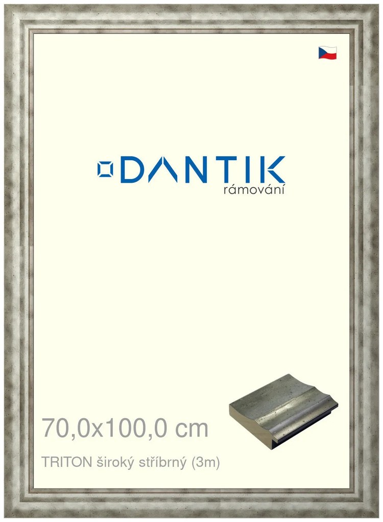 DANTIK rám na obraz 70x100 | TRITON široký stříbrný (Plexi Čiré)