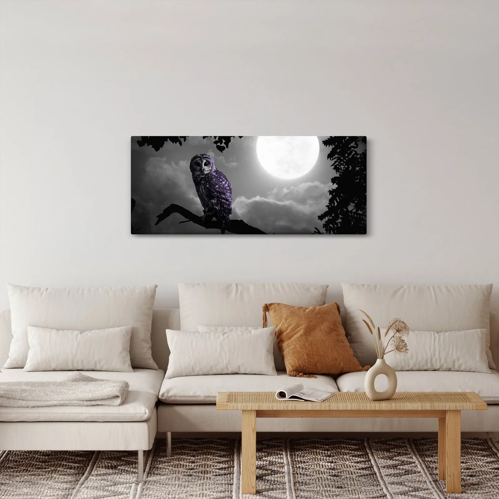 Obraz - Nočná sova, fialová sova (120x50 cm)