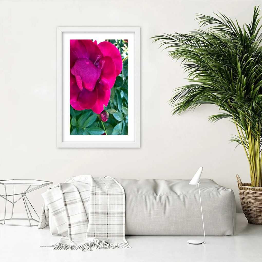 Gario Plagát Ružový veľký kvet Farba rámu: Bez rámu, Rozmery: 60 x 90 cm